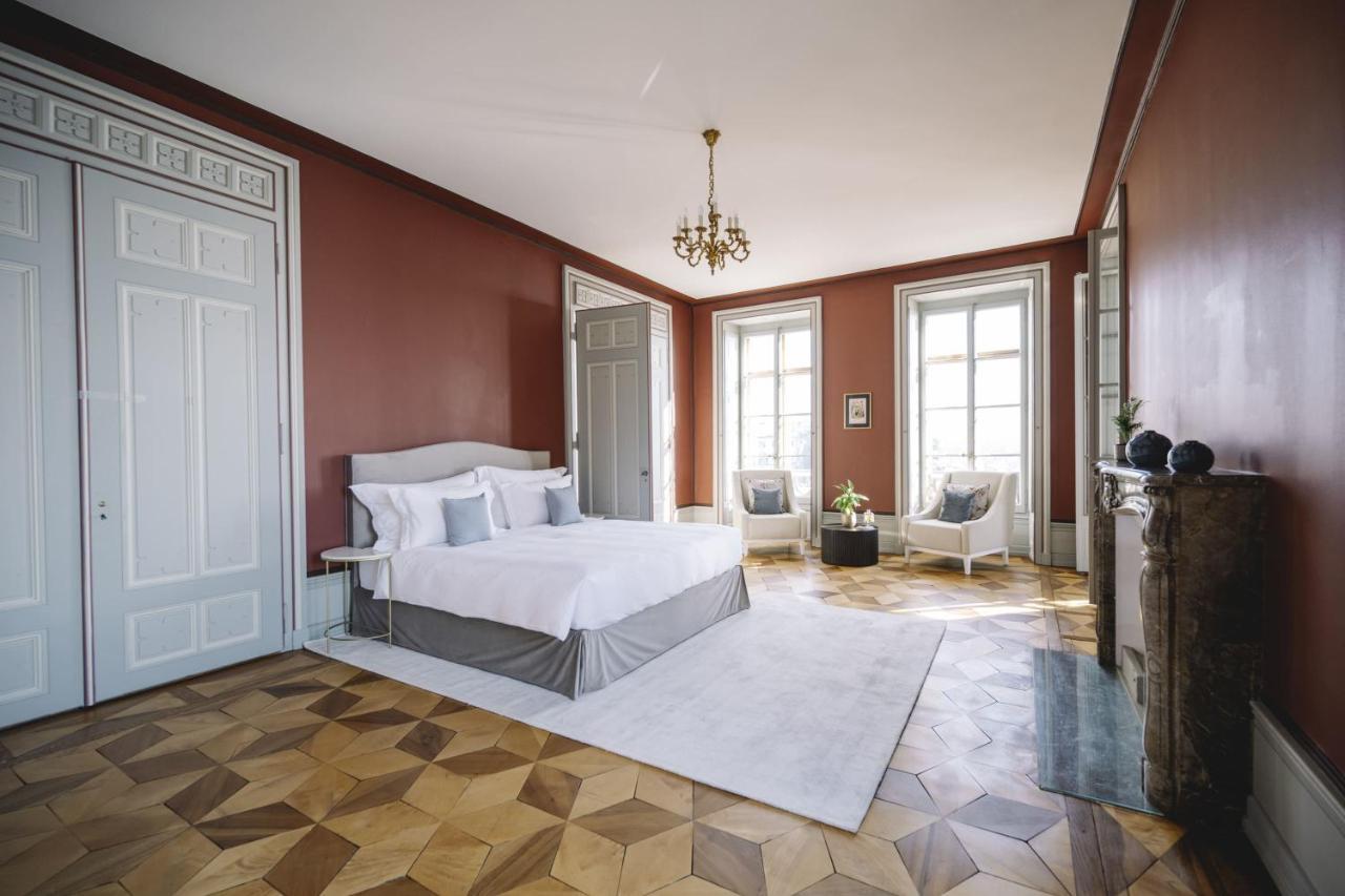Chateau De L'Aile- Boutique Suites Vevey Buitenkant foto