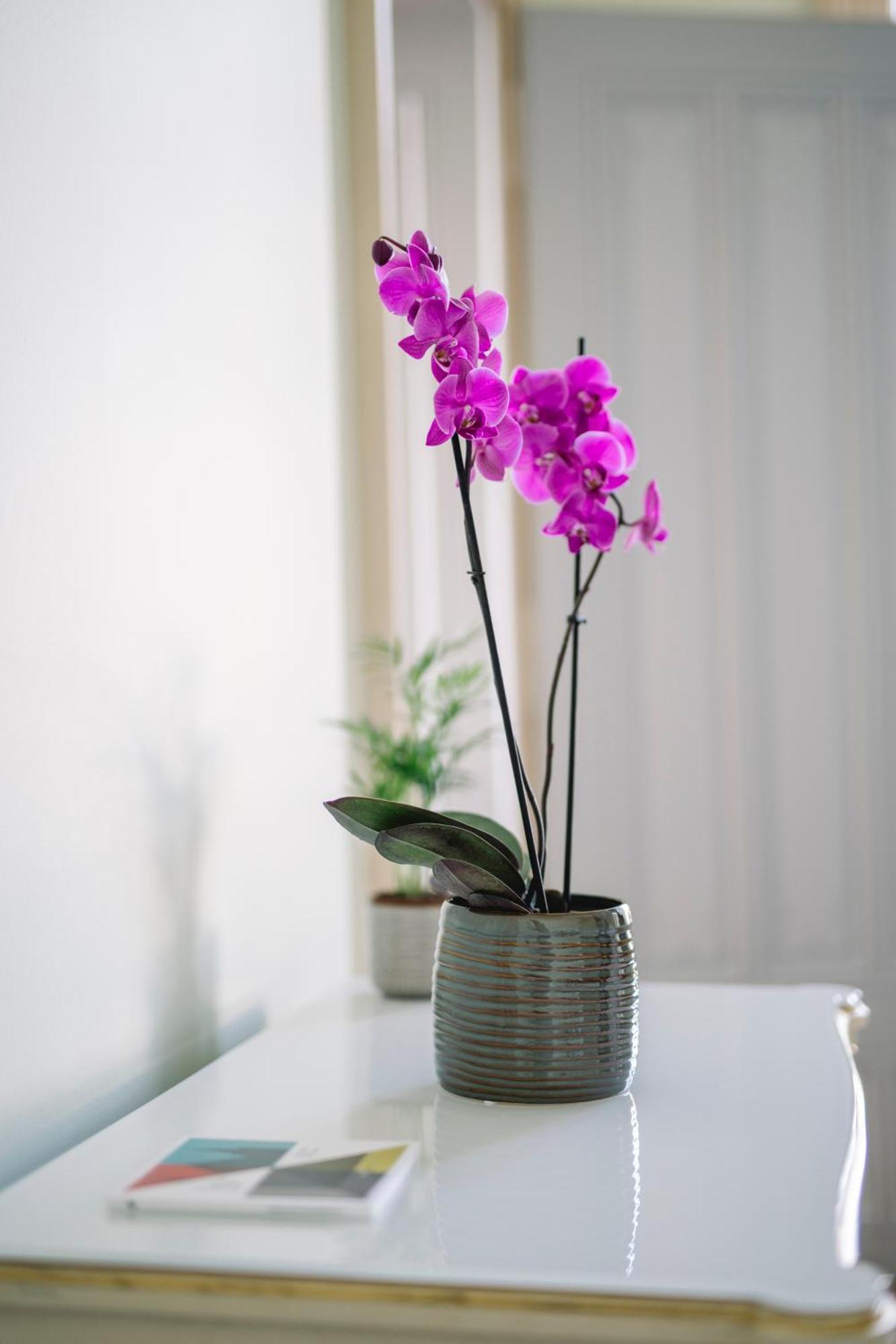 Chateau De L'Aile- Boutique Suites Vevey Buitenkant foto